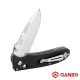 Нож складной Ganzo D704 (сталь D2)