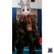 Сумка ПРС 2 MOLLE без клапана, с утяжкой и фастексом